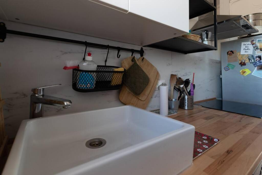 Cabana & Grand Appartement Cosy - Parking & Balcon Villefranche-sur-Saône المظهر الخارجي الصورة